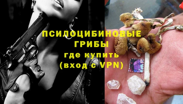 тгк Рославль