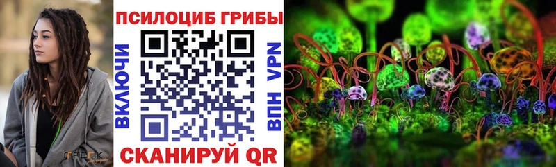 Псилоцибиновые грибы Magic Shrooms  где найти   Морозовск 